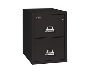 Fire King 2 Hour Rated File Cabinet 2 Drawer - Legal 