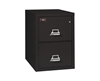 Fire King 2 Hour Rated File Cabinet 2 Drawer - Letter 
