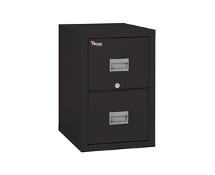 Fire King Patriot Vertical File Cabinet 2 Drawers 