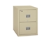 Fire King Patriot Vertical File Cabinet 2 Drawers - 2P1831-C697521576314