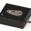 Hollon PBD2 Biometric Pistol Box 